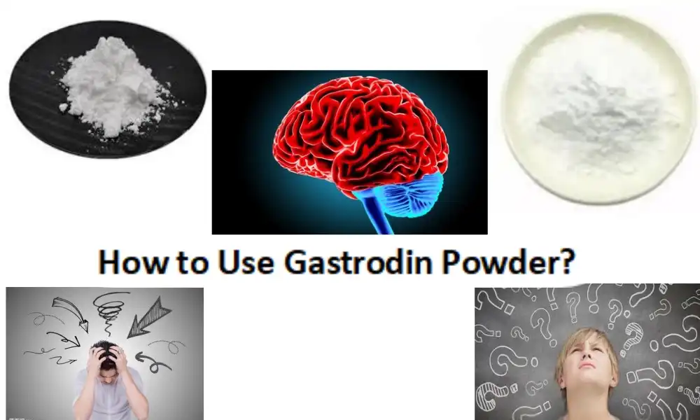 How to Use Gastrodin Powder?